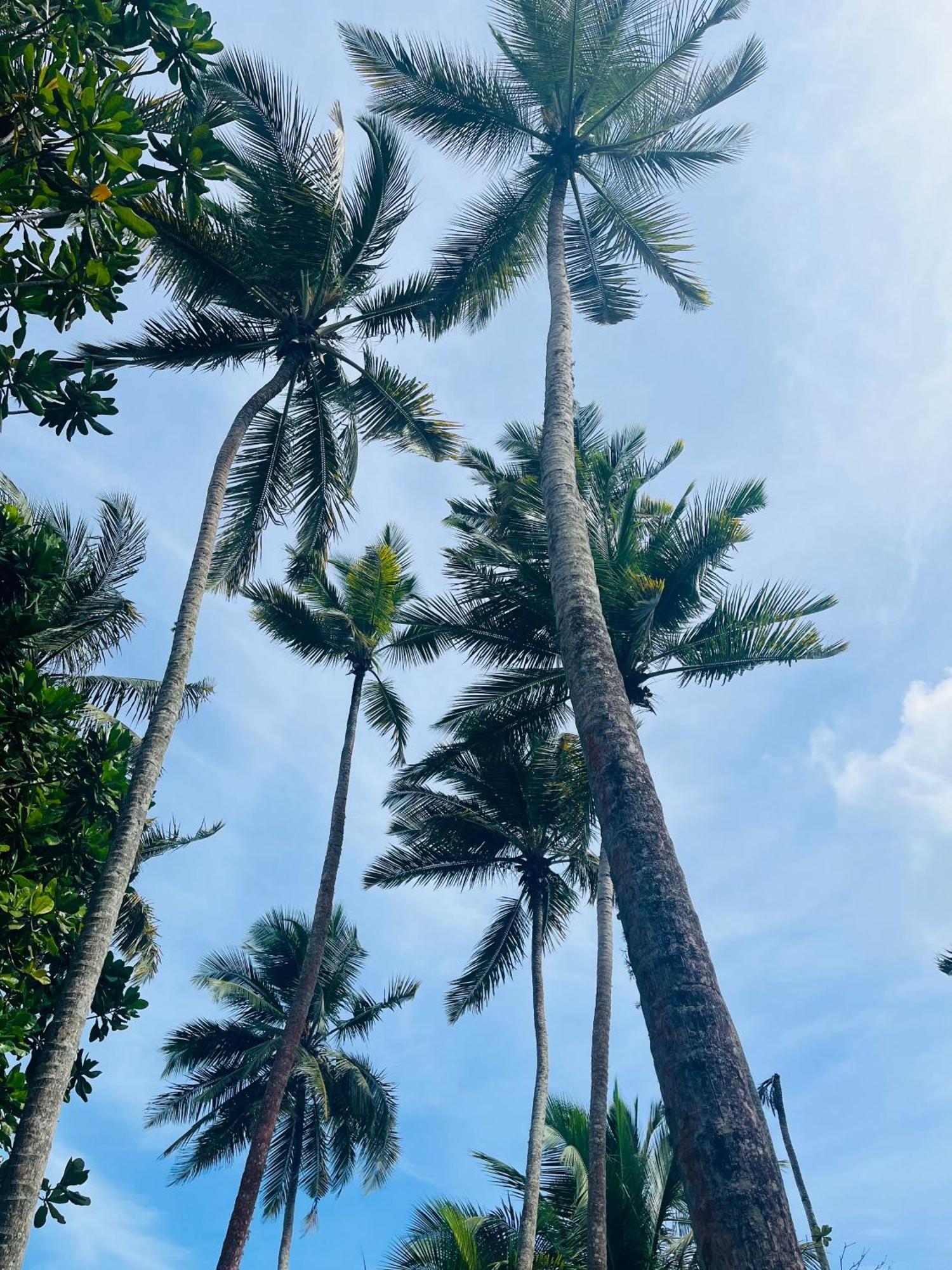 Esperanza Beach Mawella Tangalle Kültér fotó